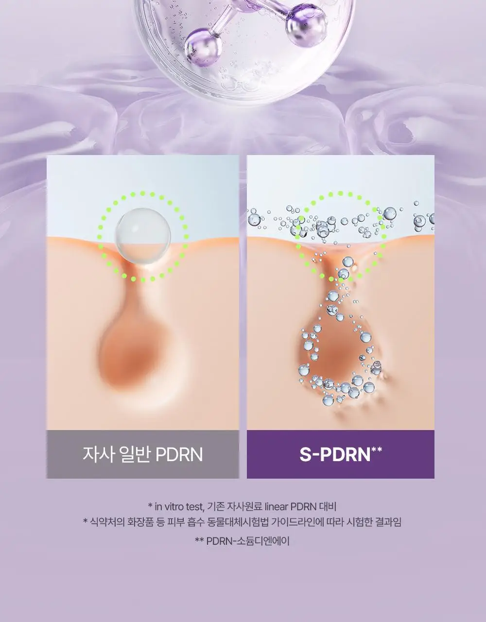 [진정탄력] 차앤박 더마앤서 액티브 부스트 PDRN앰플 30ml 기획 (+15ml 증정) 상세페이지 15